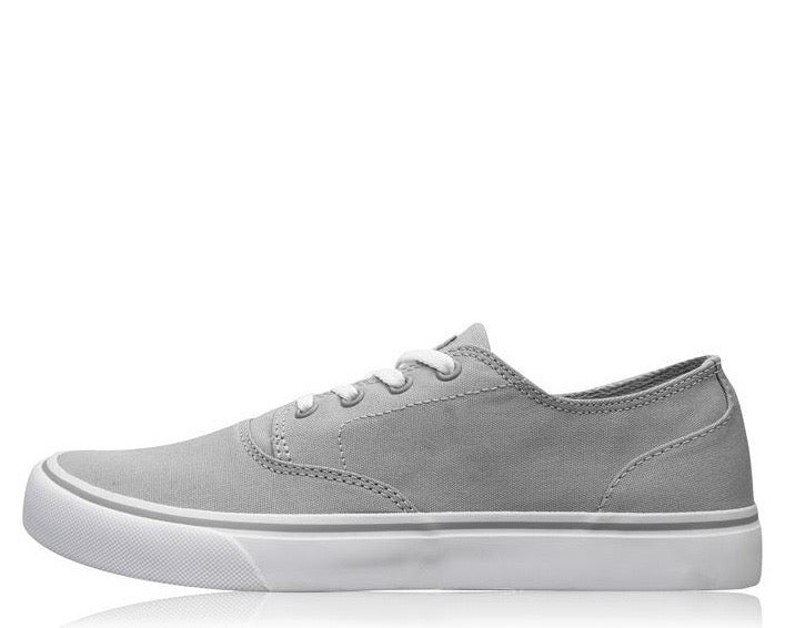 DC Flash 2 Trainers  Grey